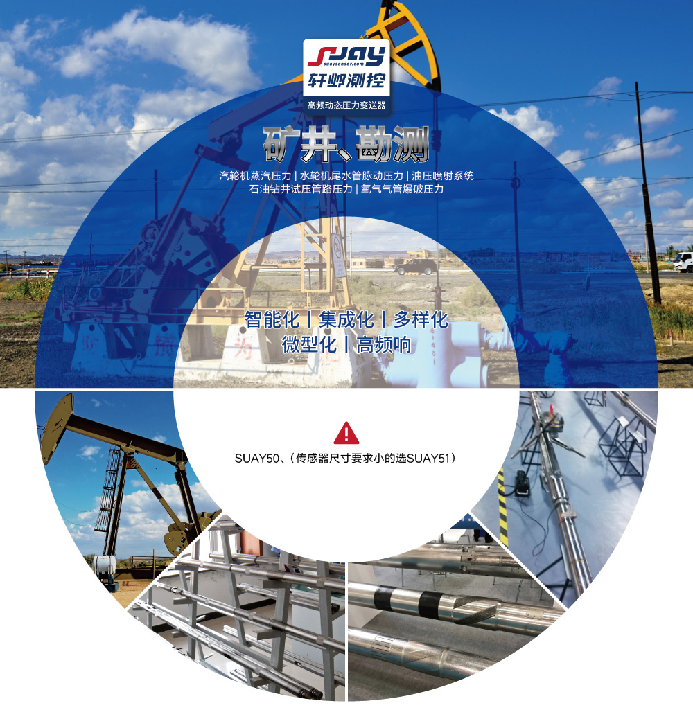 礦井勘測(汽輪機(jī)蒸汽、水輪機(jī)尾水管脈動、油壓噴射系統(tǒng))